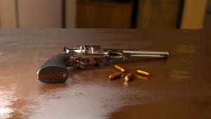 weapon bullet gun