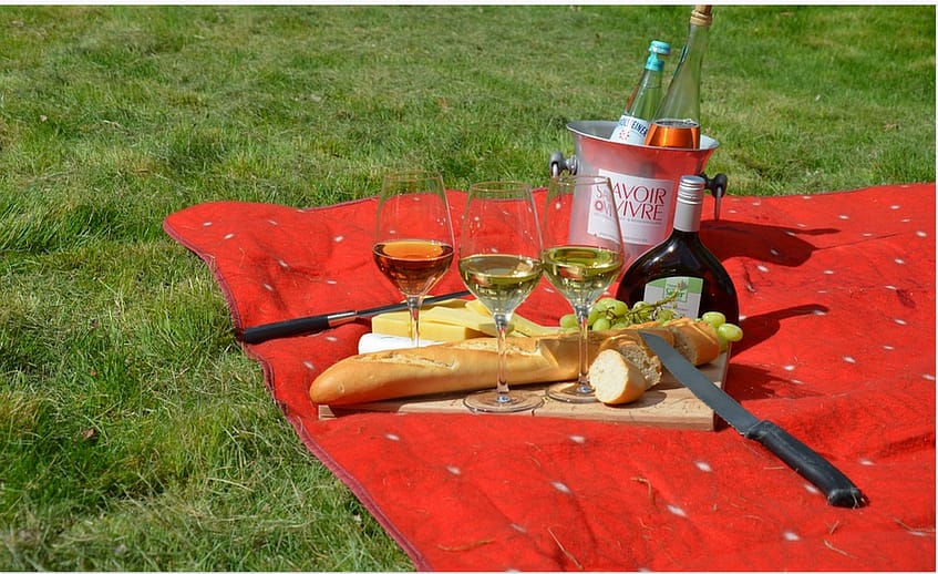 picnic blanket